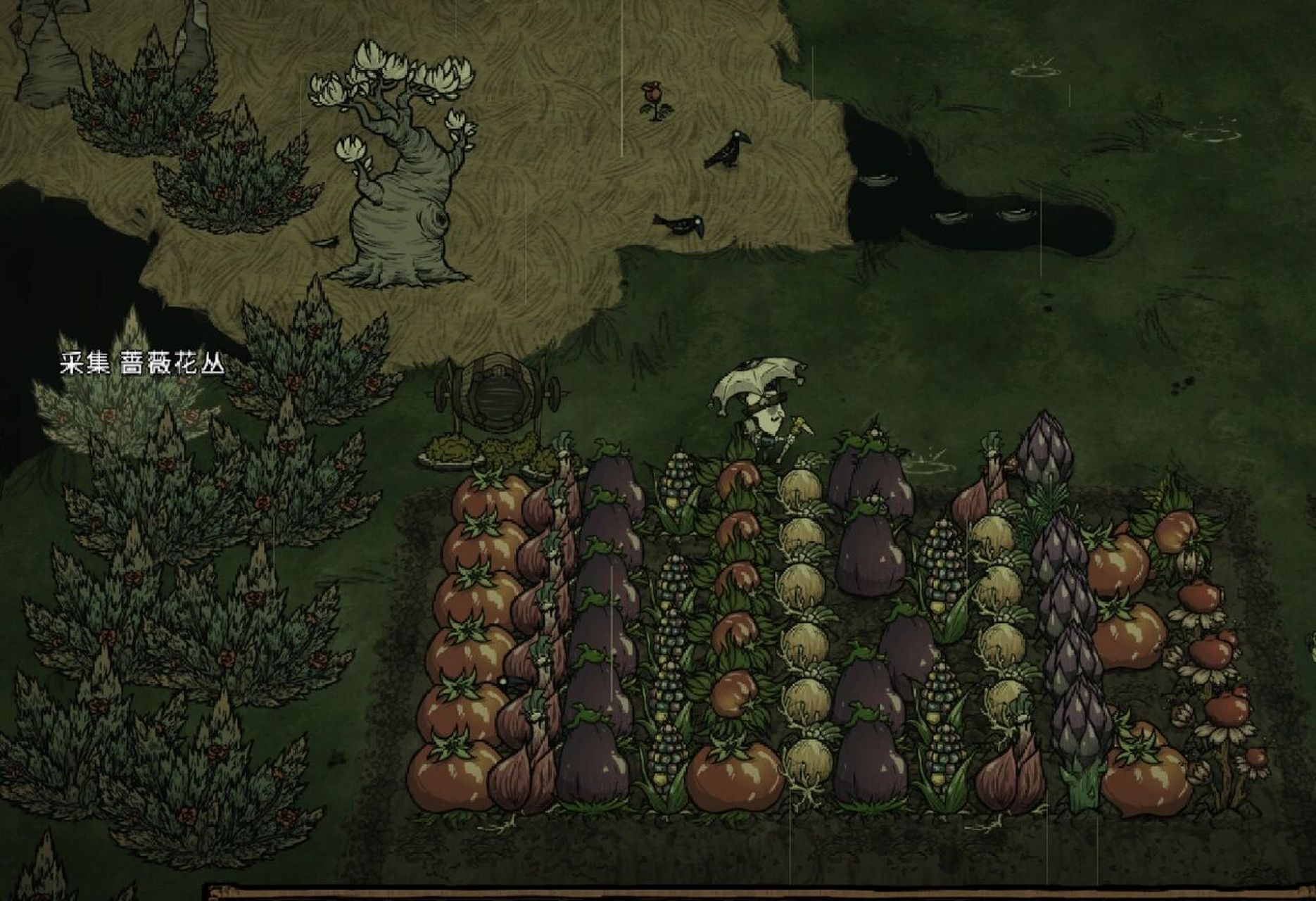 饥荒四季对应巨大种植物 ①春季94:大蒜(种子荚),番茄(带刺的种子)