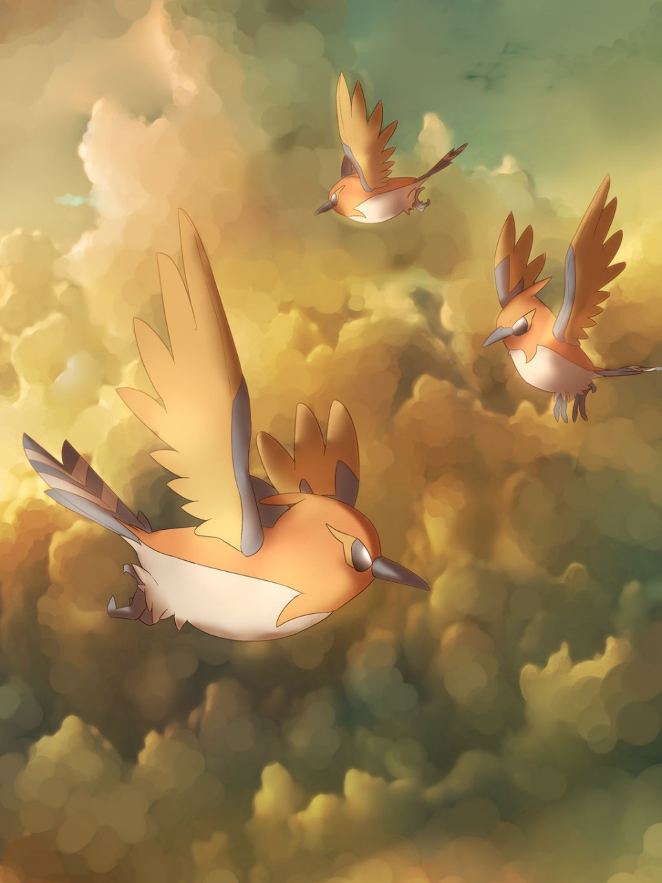 宝可梦|072每日壁纸 文案:火箭雀 但愿时光,还你翅膀,护你飞翔.