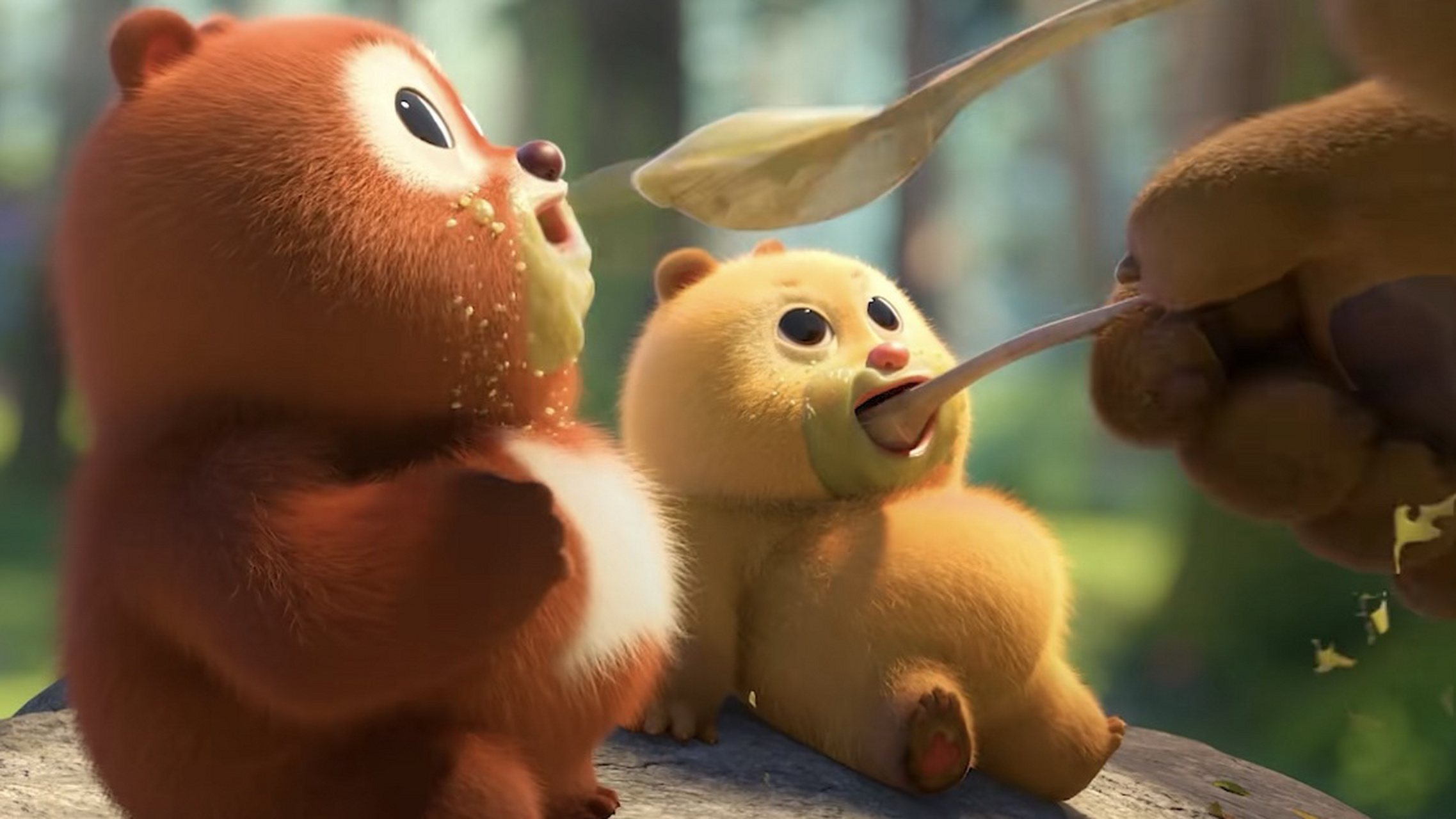 好想rua 熊大熊二小时候怎么这么可爱啊