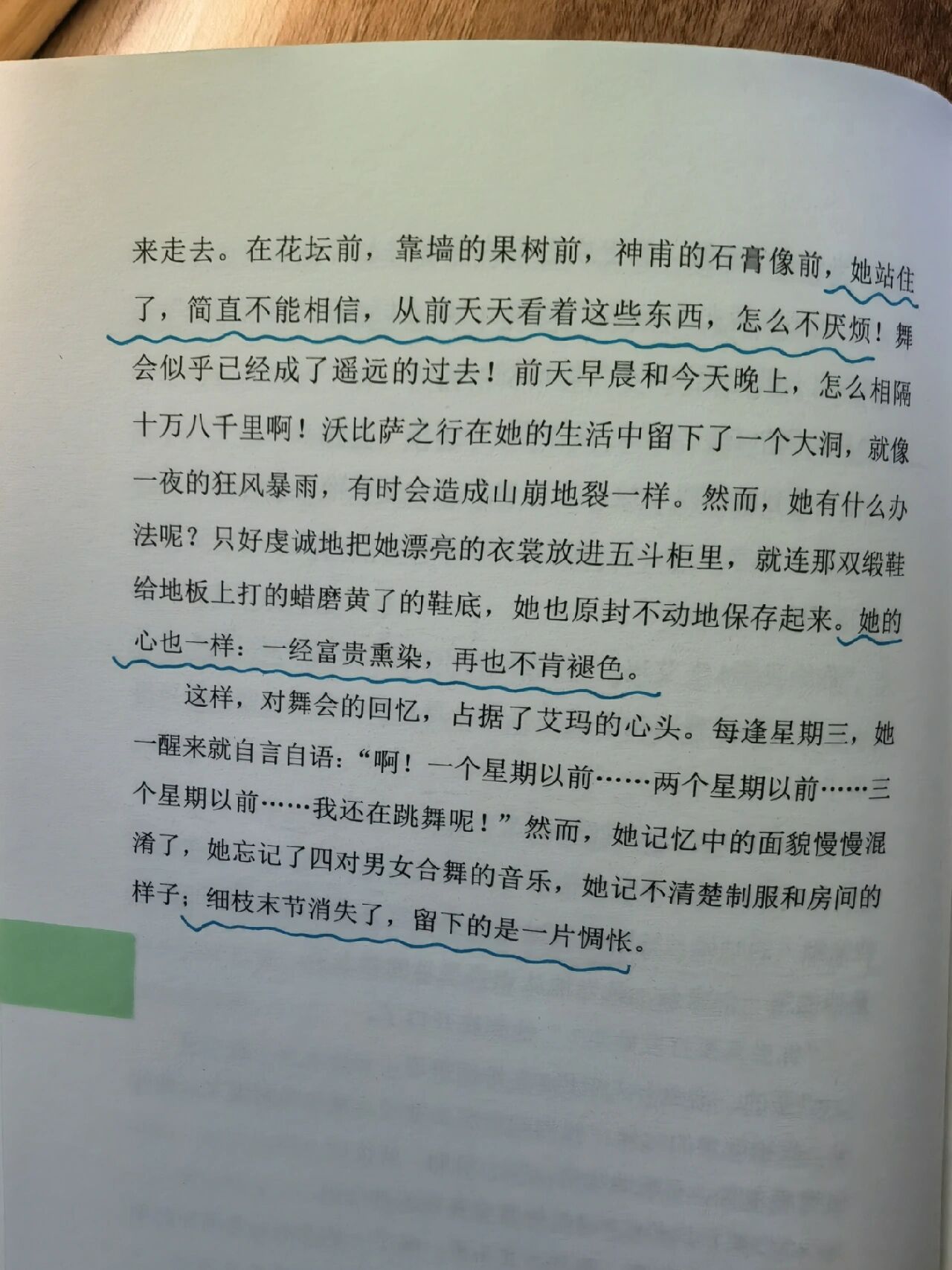 读许渊冲大师译本《包法利夫人》 91豆瓣评分:8.