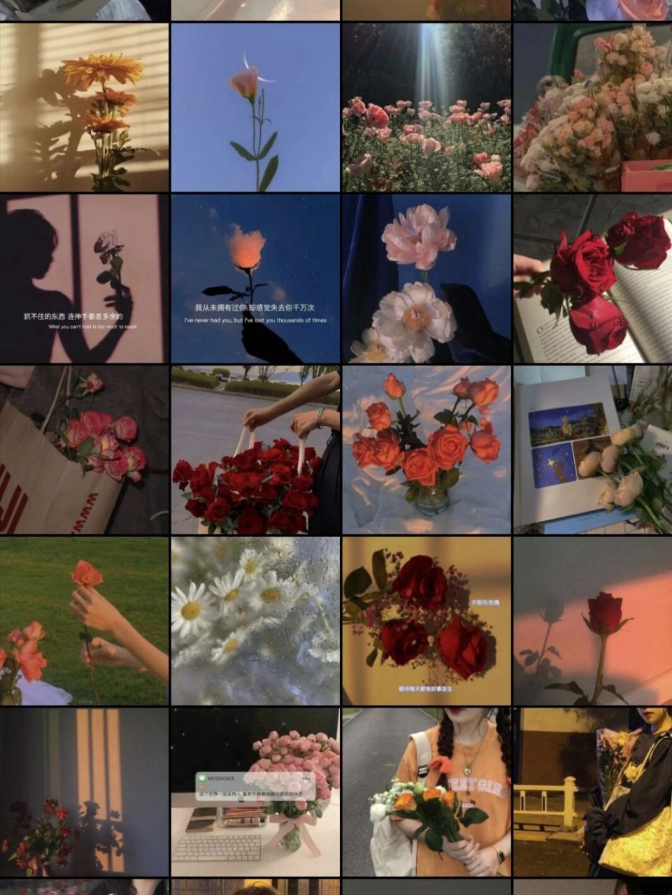 小清新鲜花微信背景图