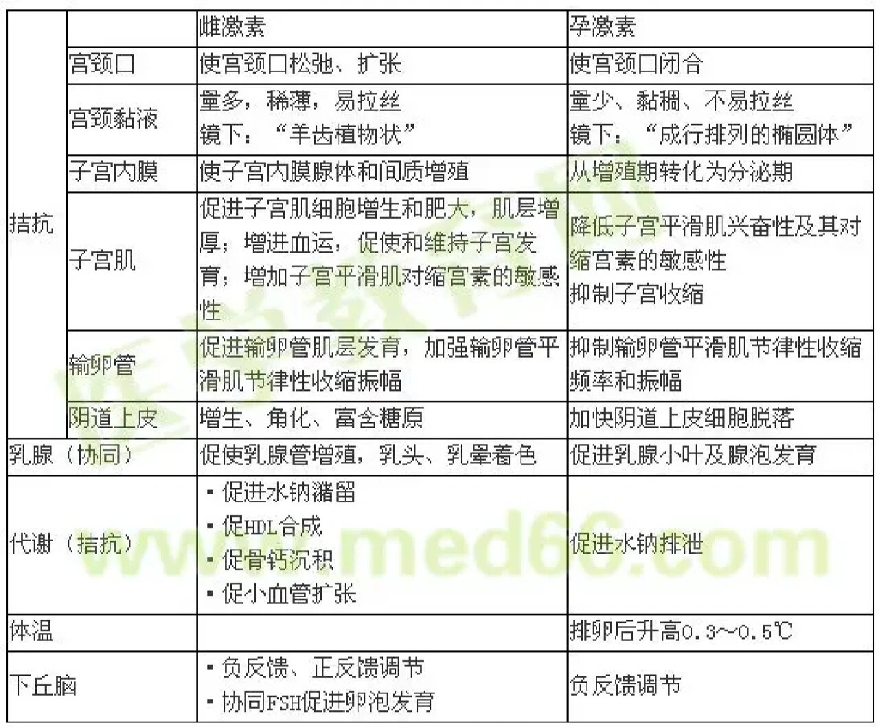 雄性激素和雌性激素图片