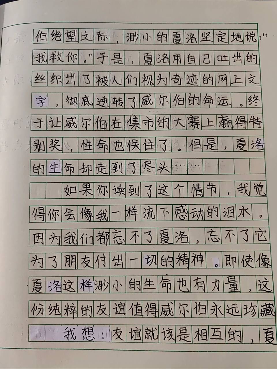 五年级上册作文《推荐一本书》——夏洛的网
