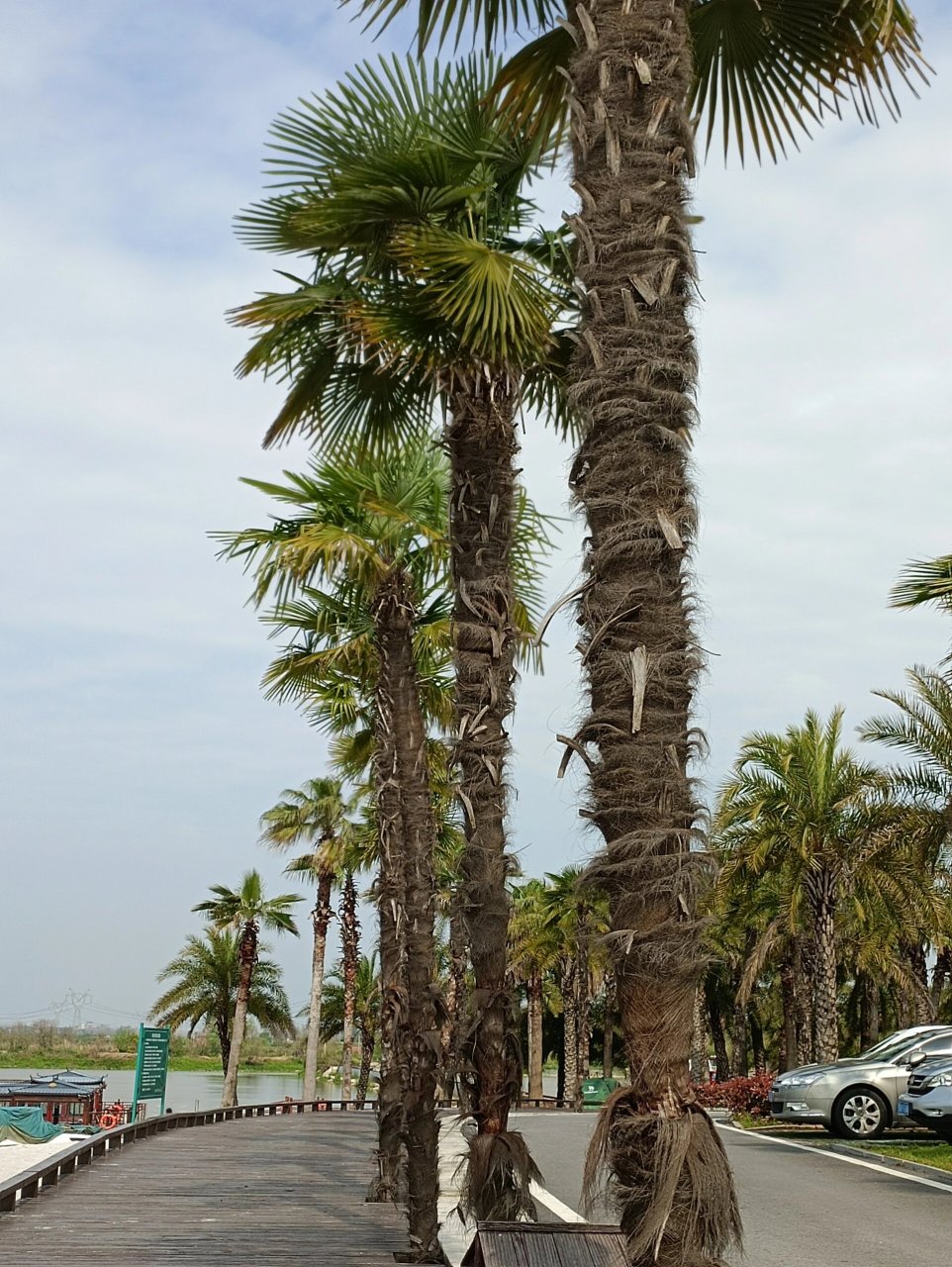 嘉鱼沙滩旅游景点图片