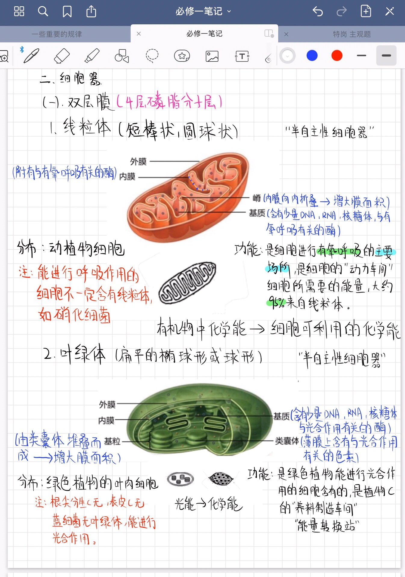 高中生物笔记 3 2细胞器