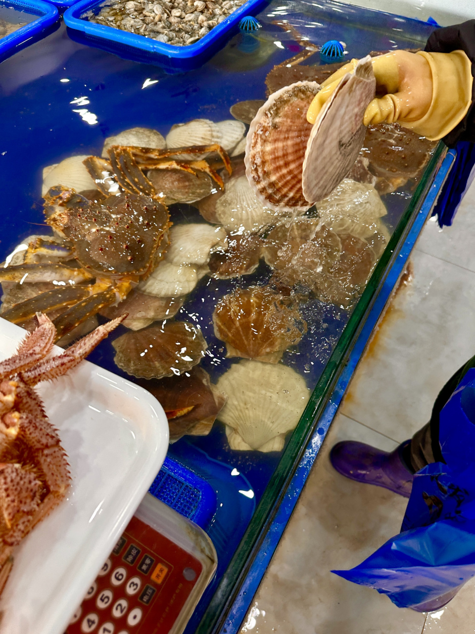 珲春是我国重要的海鲜集散地,也是全国帝王蟹的批发源头～这里的海鲜