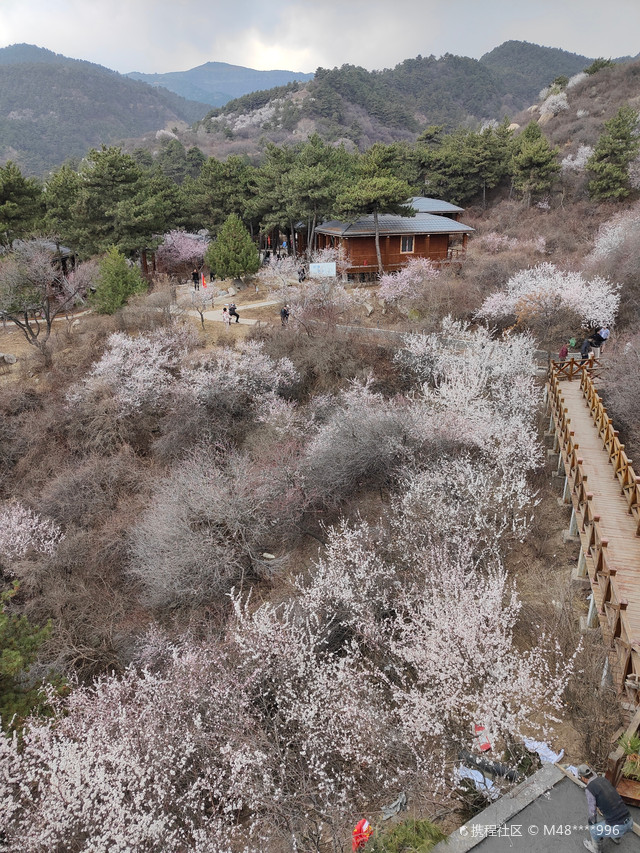 杜儿坪桃花沟图片