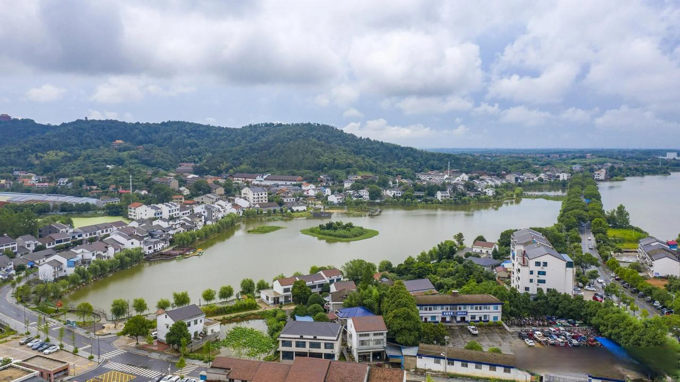 津市市的肖家湖生态文化公园,也是绝美的小众打卡地,走进公园,满眼都