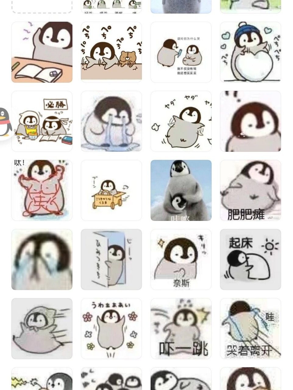 陆陆续续收集了好多企鹅表情包 小企鹅好可爱哦 怎么会有人舍得骂鹅鹅
