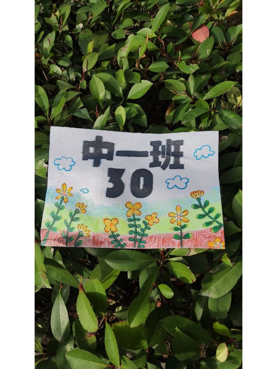 幼儿园运动会号码牌,生机勃勃,健康向上!