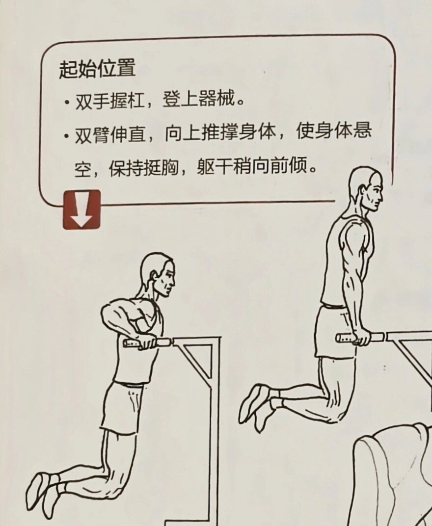 胸部训练之双杠臂屈伸 动作说明 身体下降至胸部肌肉稍有拉伸感.