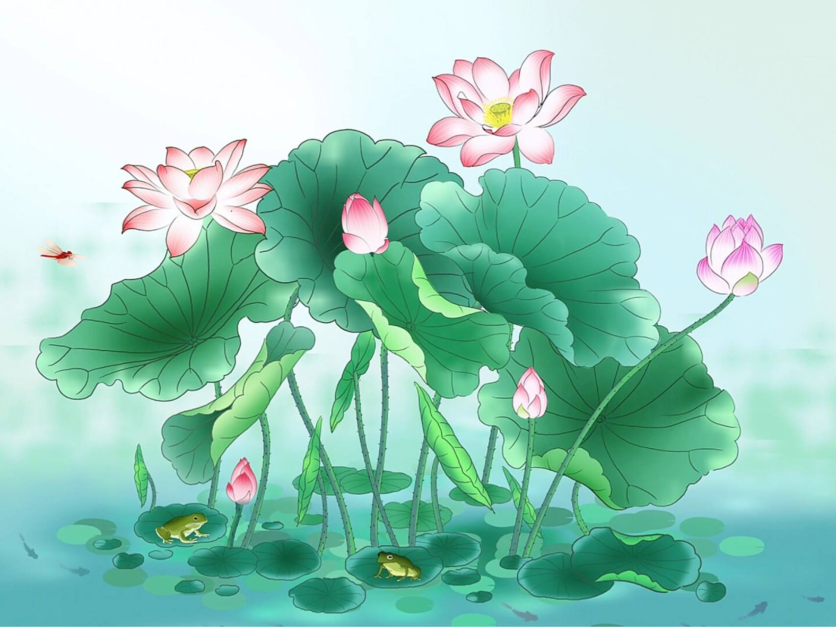 插画|夏天里的荷塘风景 夏日一只青蛙独坐池塘哇哇哇哇909090