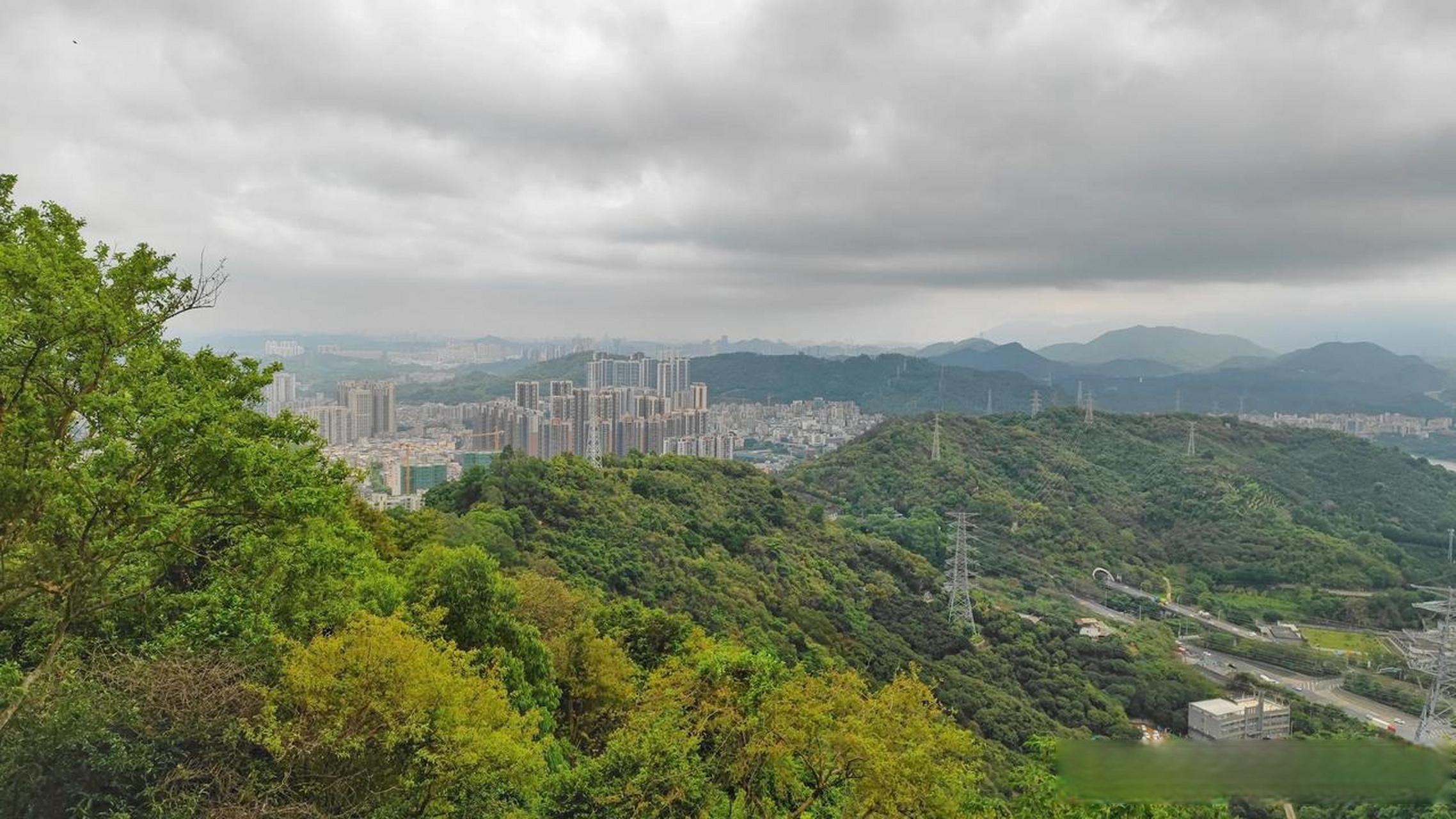 雾茫茫  有想去看看阴雨天气去登深圳求水山公园是一种什么样的感觉吗