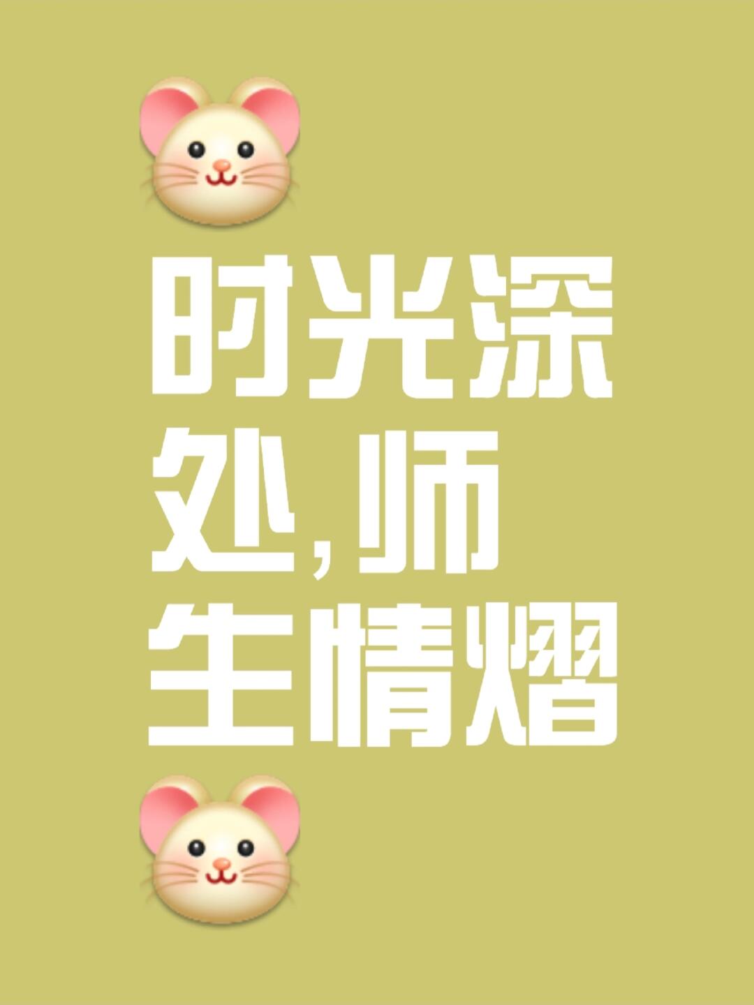 师生情,作文必备素材