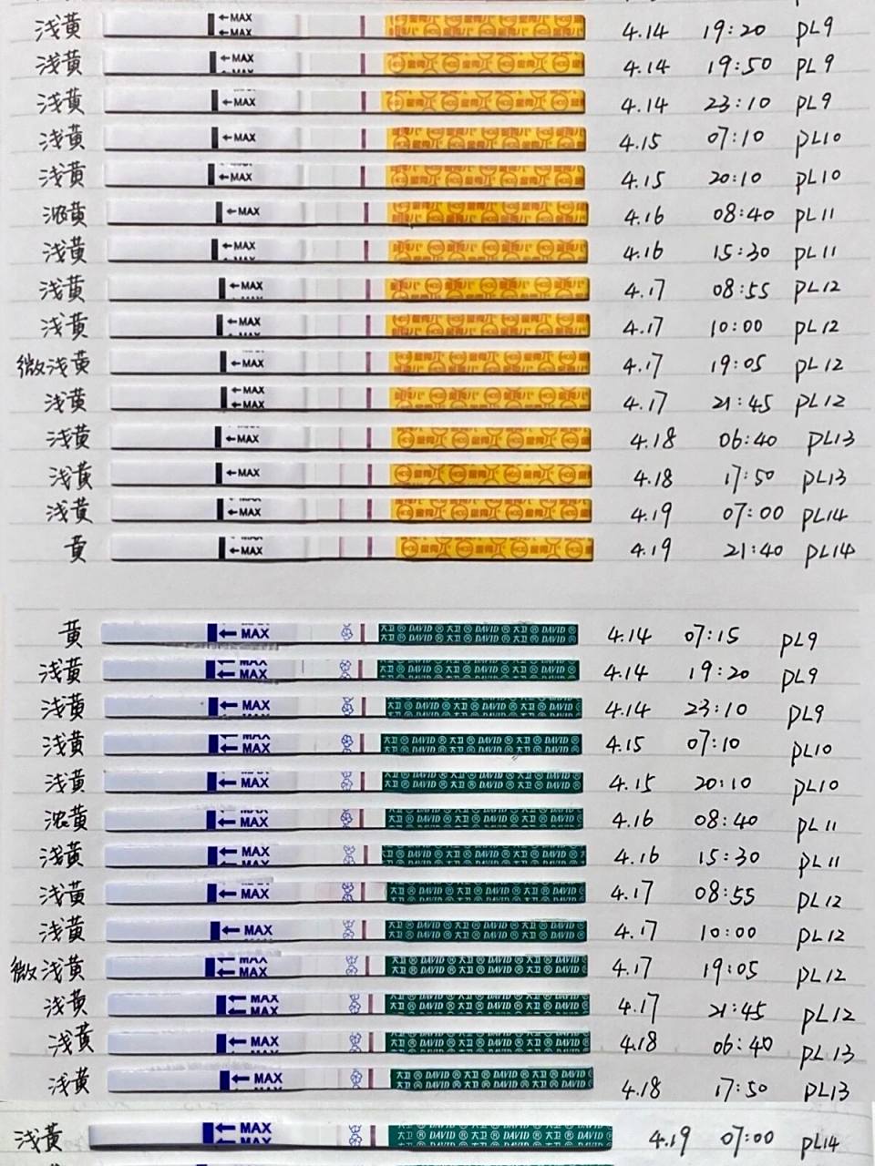 pl14早孕试纸加深,hcg低72小时翻倍反转0290 虽然最近大卫,金秀儿