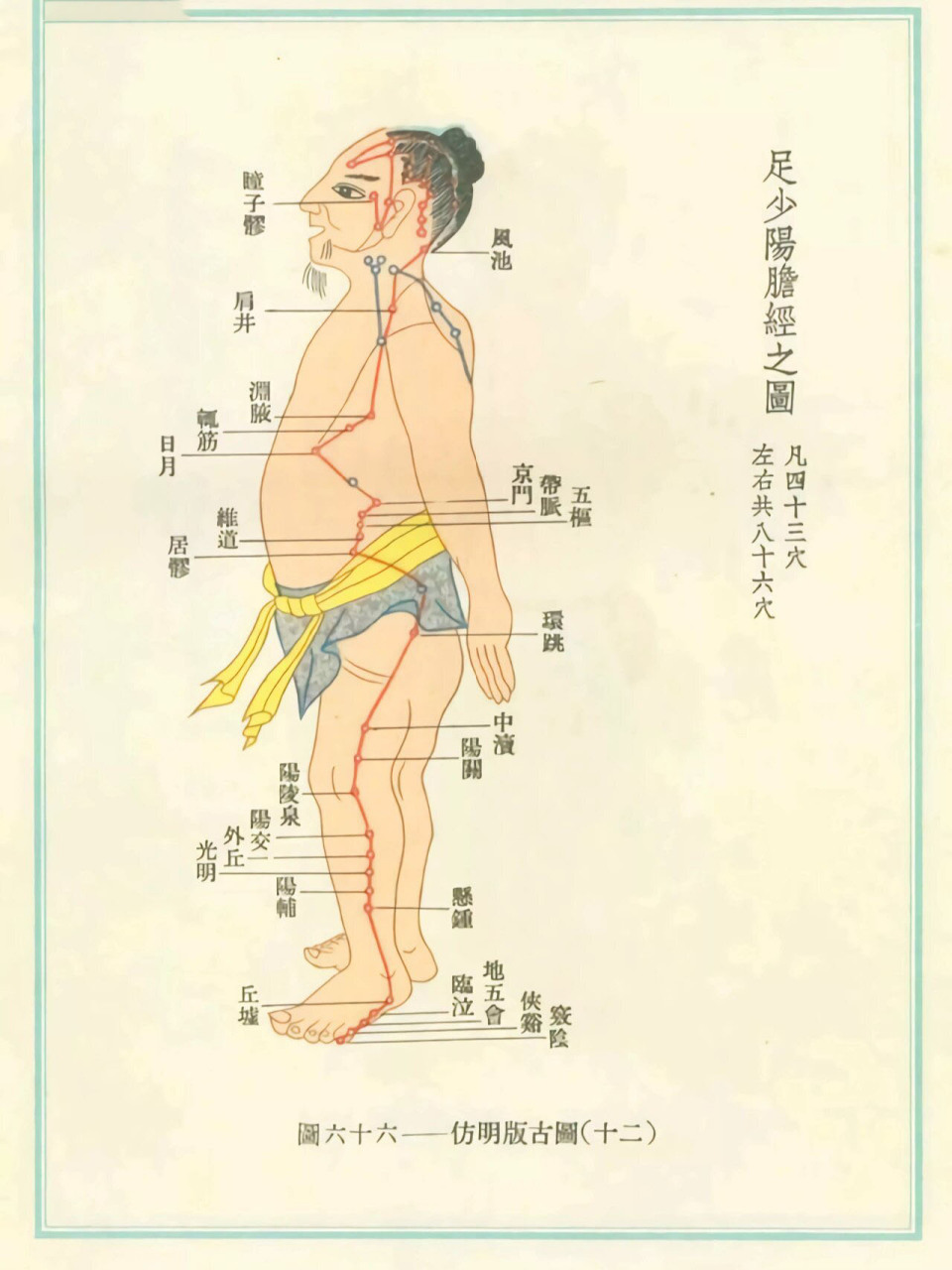 足三阳的准确位置图片图片