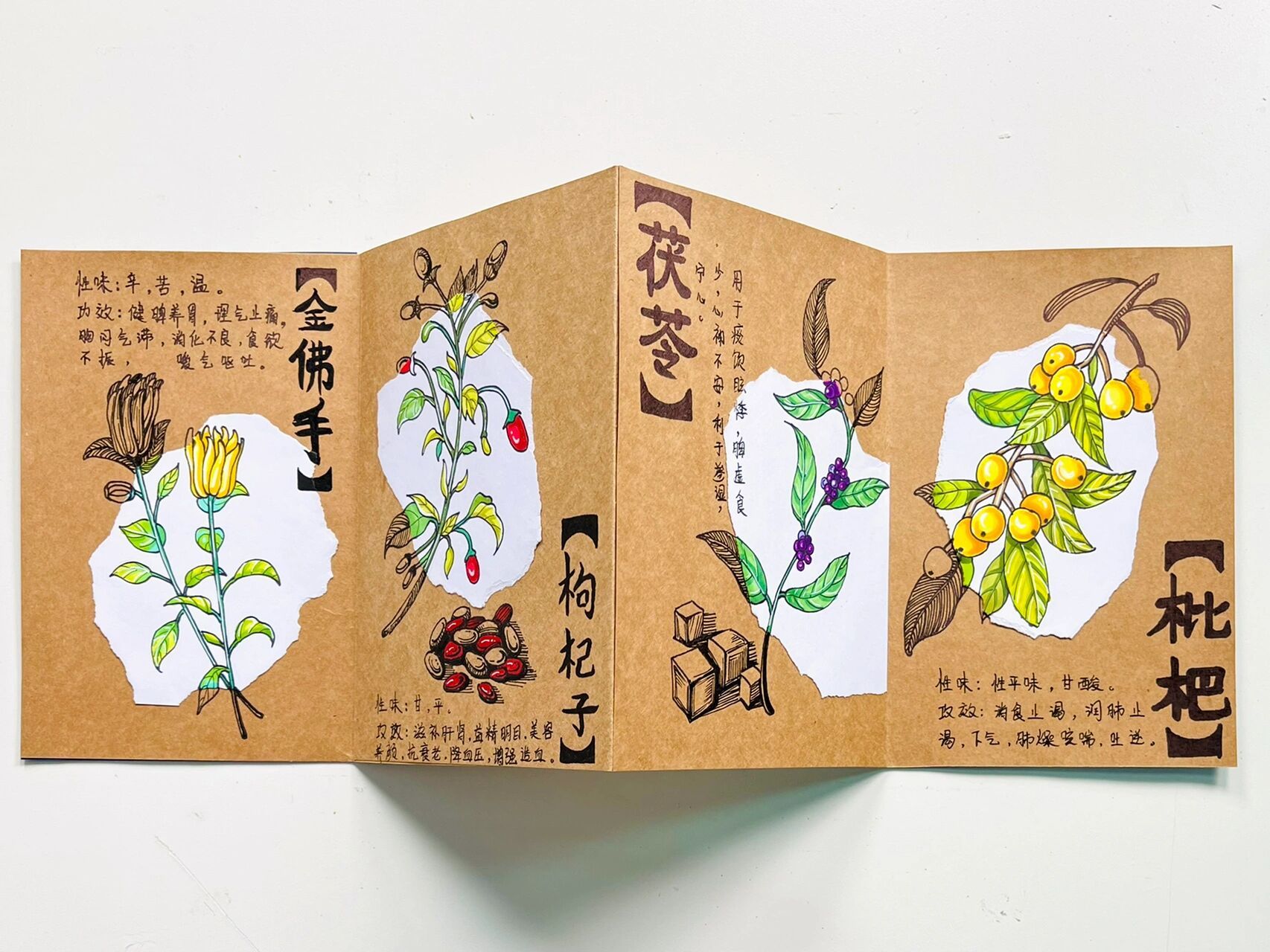 创意儿童画《本草纲目》绘本制作 77步骤图 99 通过对【本草纲目