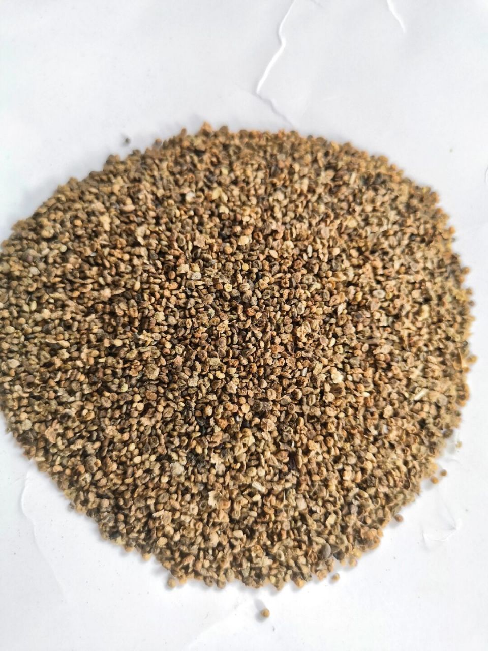 地肤子→苦寒→利湿止痒→小便刺痛膀胱结石 苦能泄能燥