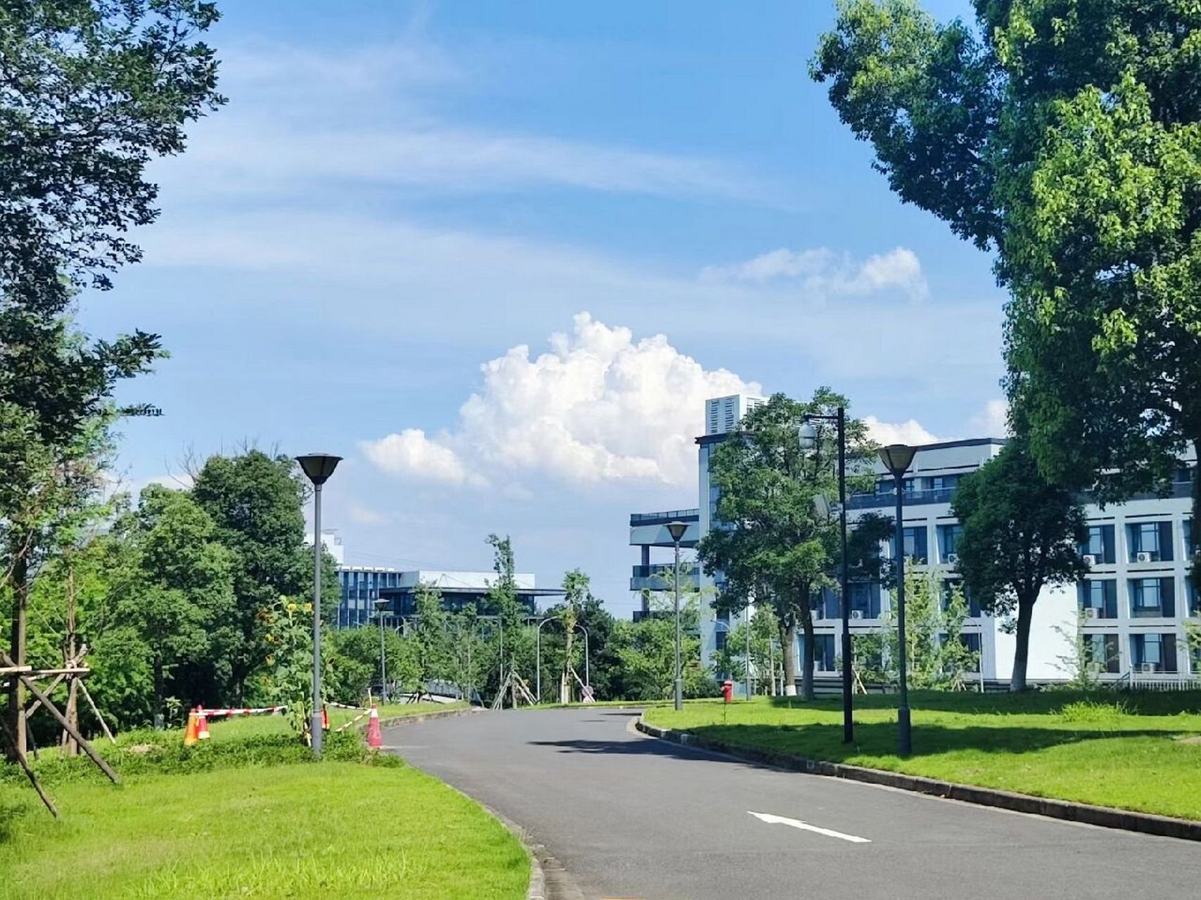 浙江师范大学行知学院图片