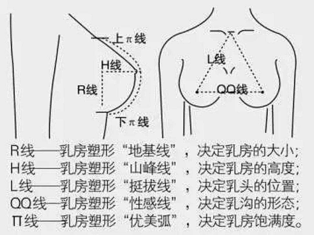 胸廓多少度怎么看图片