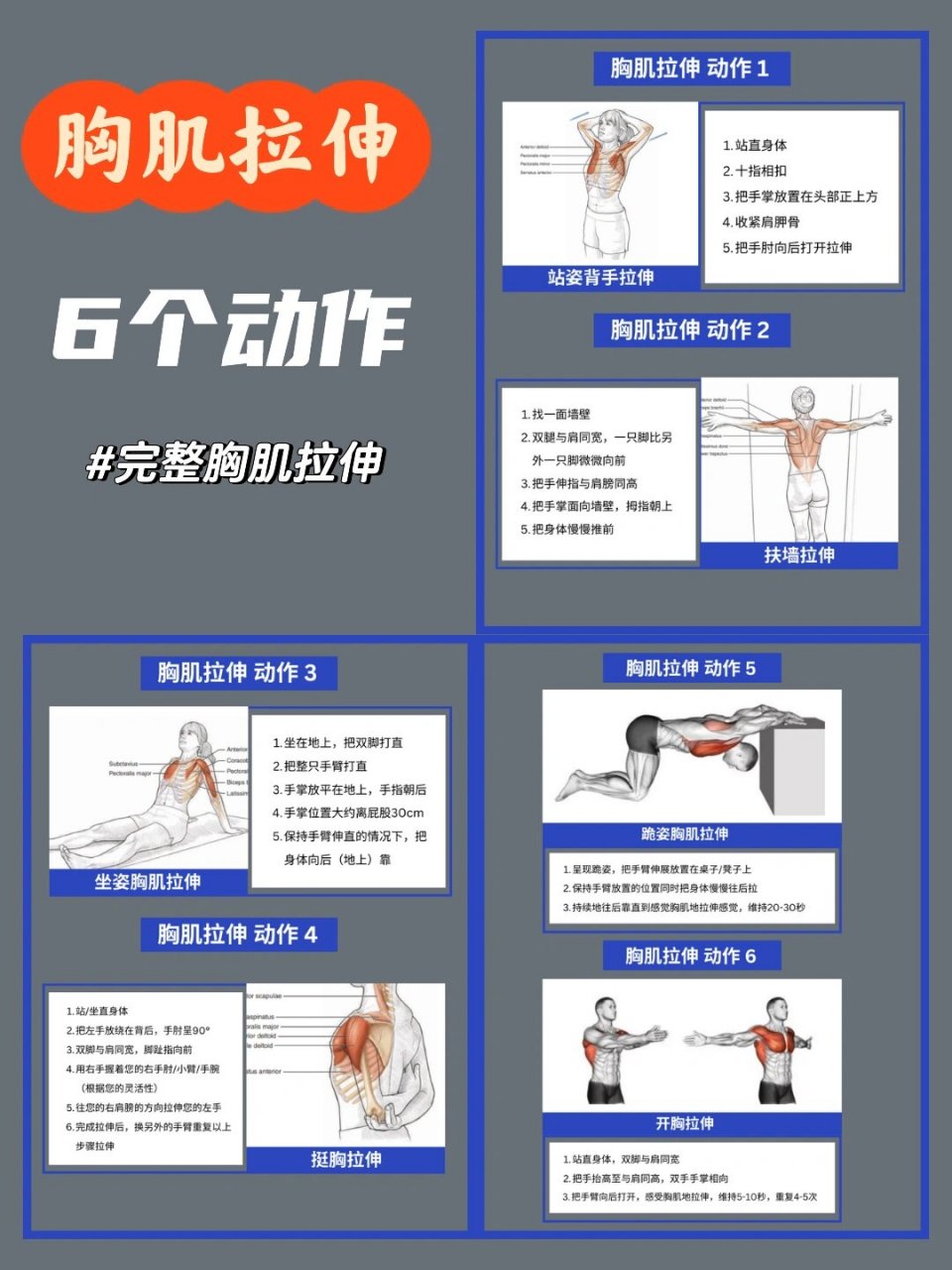 【完整胸肌拉伸】怎么拉伸胸肌,看这里!