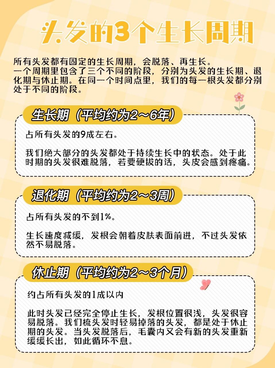 头发在忙什么