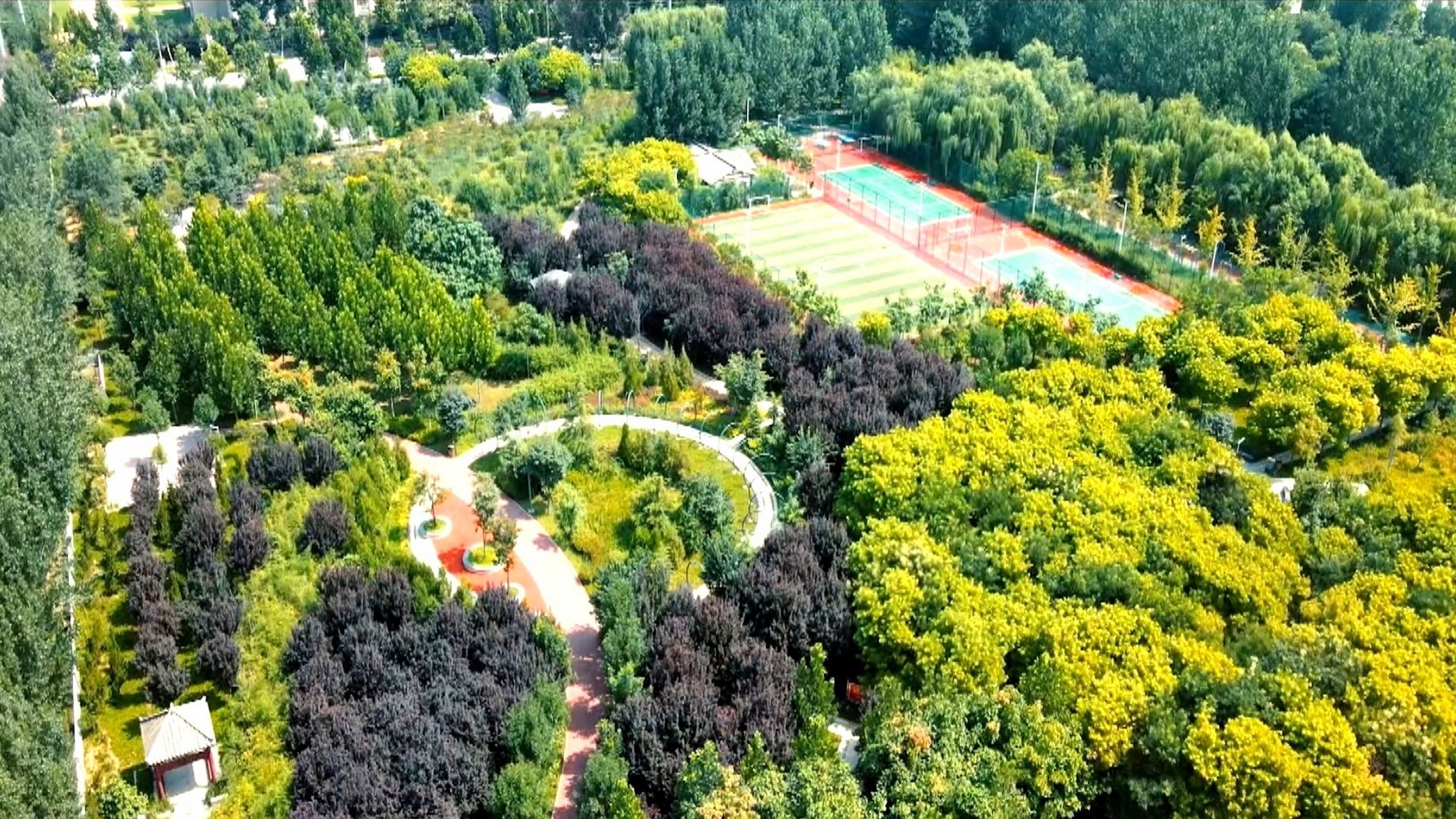 【河北临漳:小城公园生态"美"】近年来,河北省邯郸市临漳县因地制宜