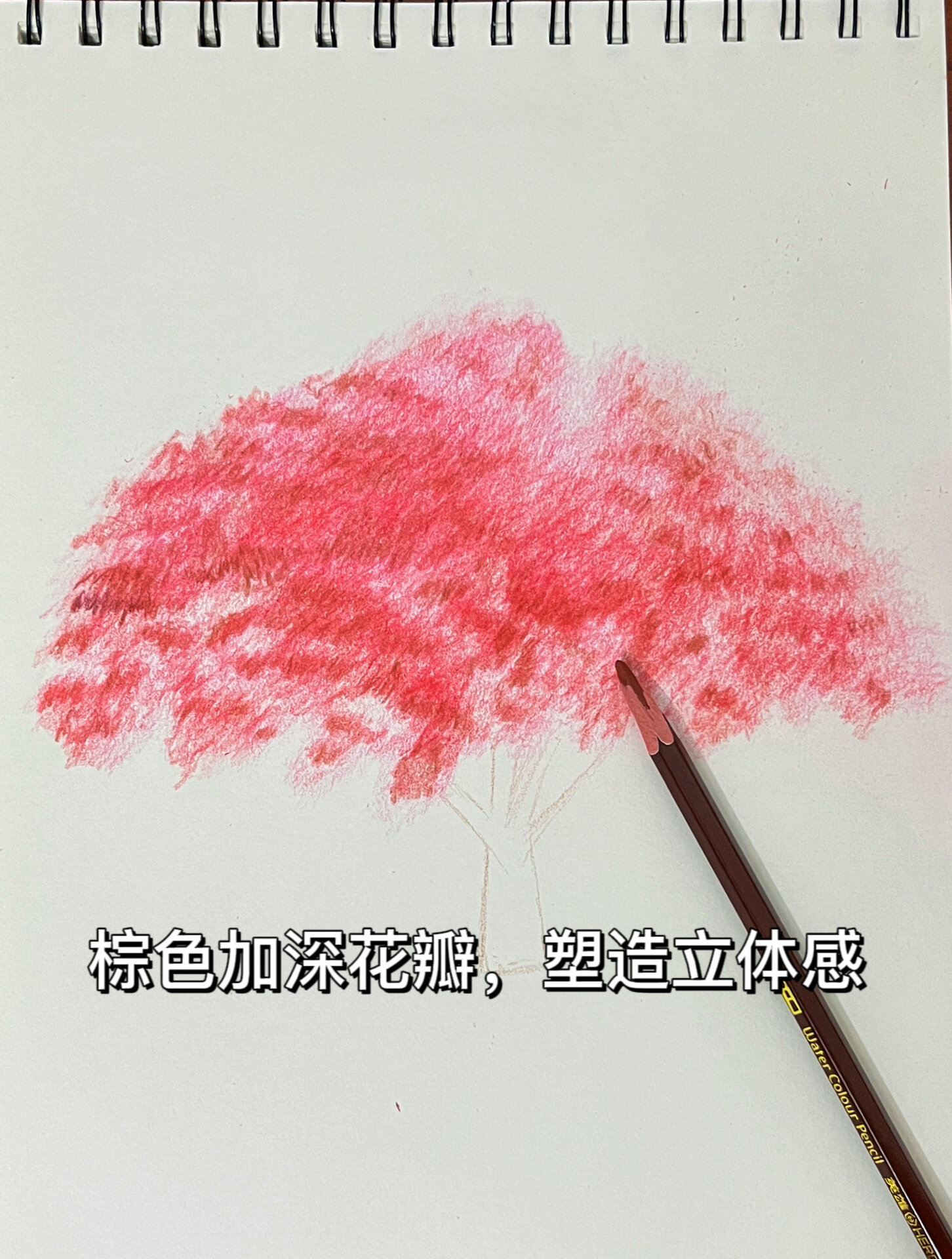 新手也能画