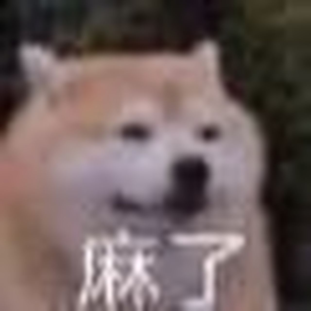 奇葩表情包:麻了