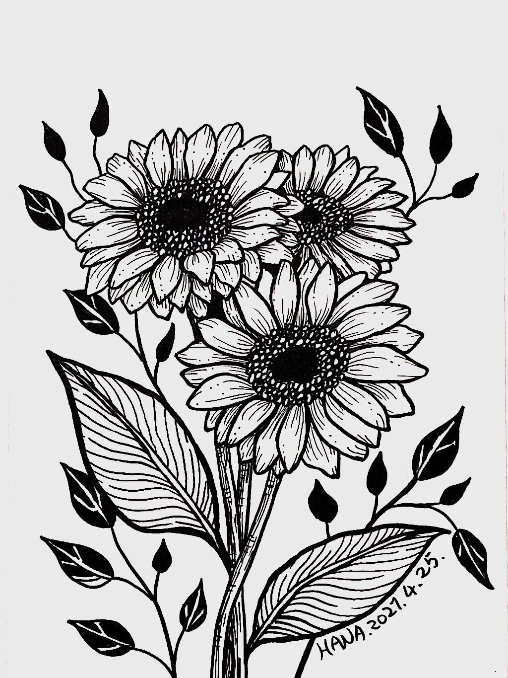 原创黑白装饰画 花花 步骤图