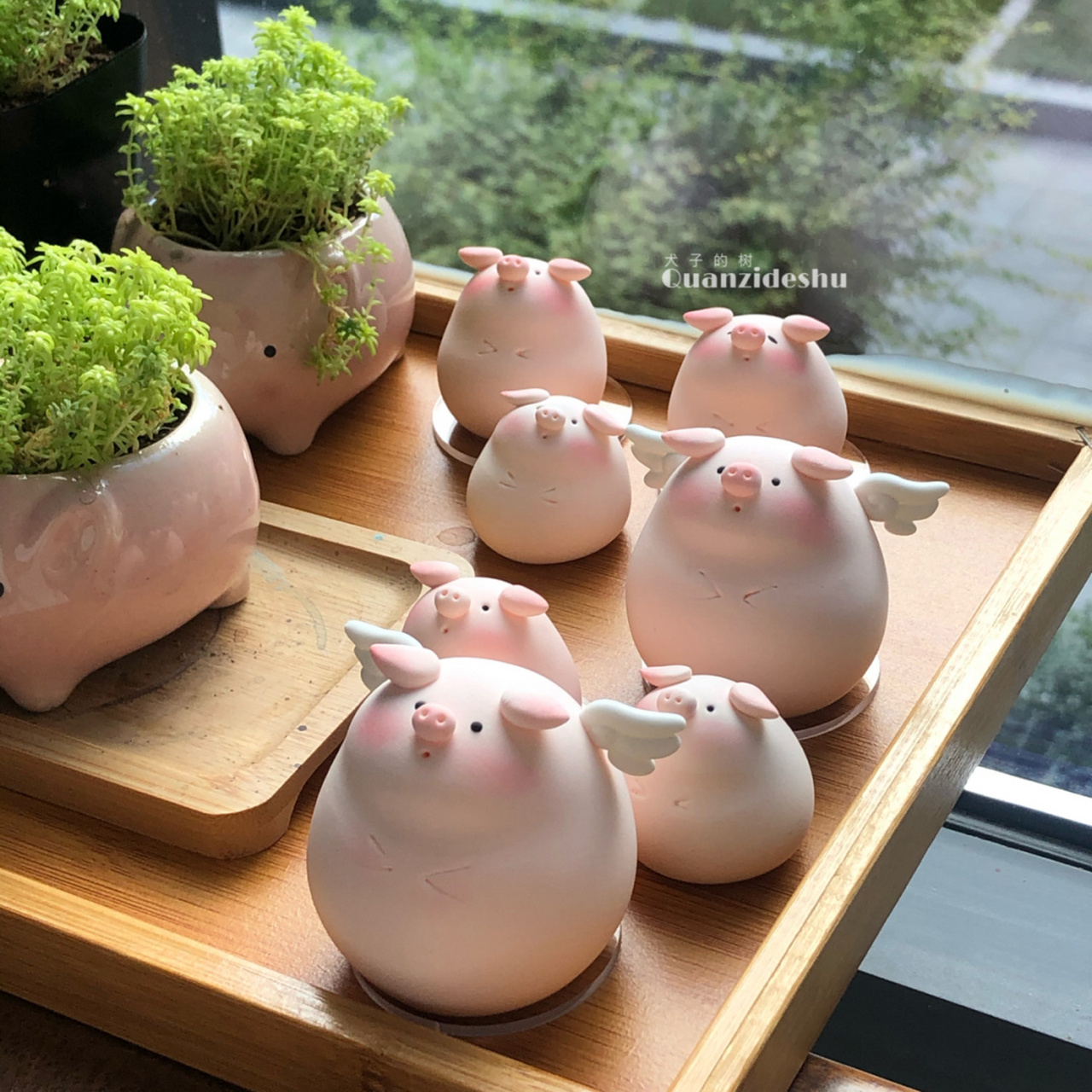 准备开窗,我们的猪猪要飞进来了99 真的太爱可爱的猪猪了 在手工室