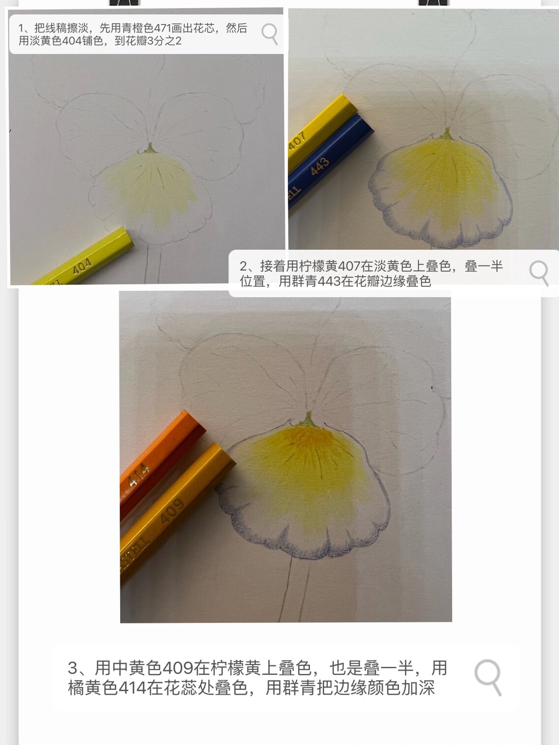 彩铅花卉——三色堇,附步骤图 画画真的很需要耐性,这幅画画了整整三