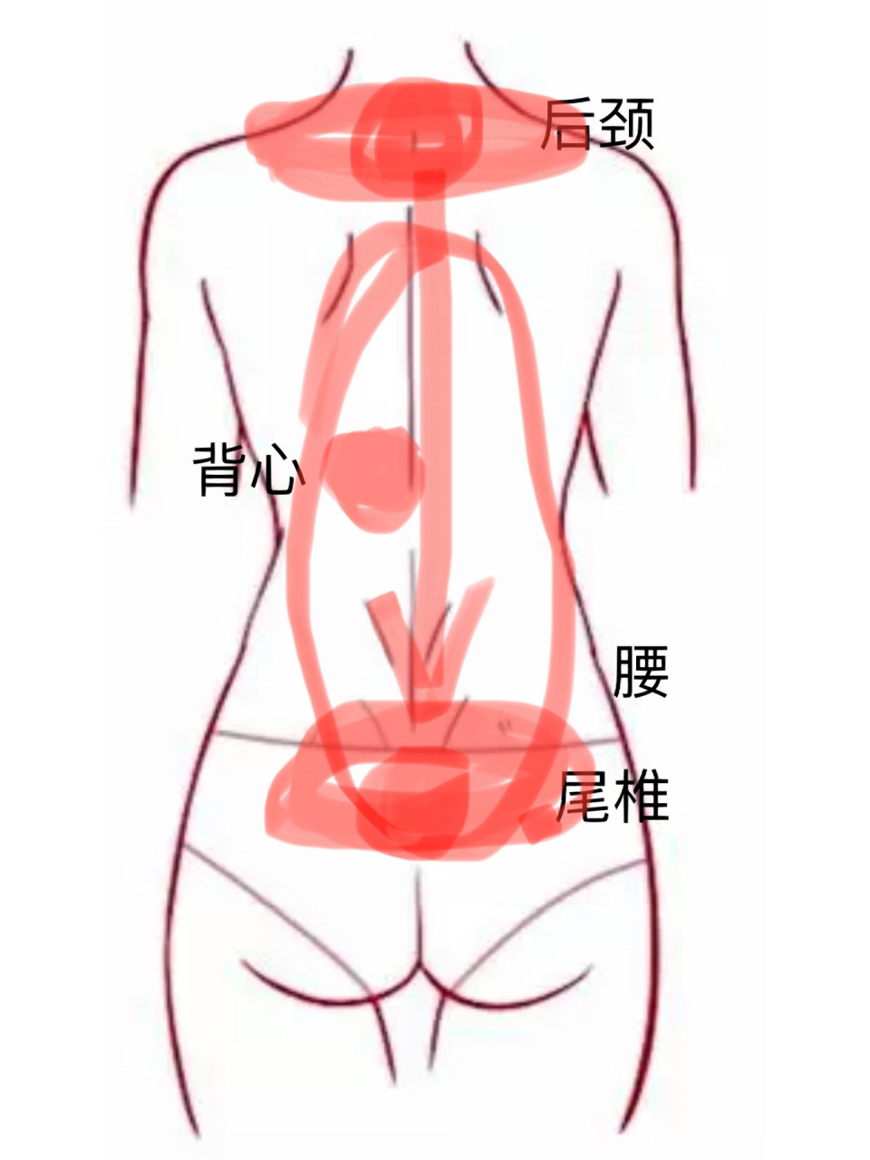 后背疼痛的位置示意图图片