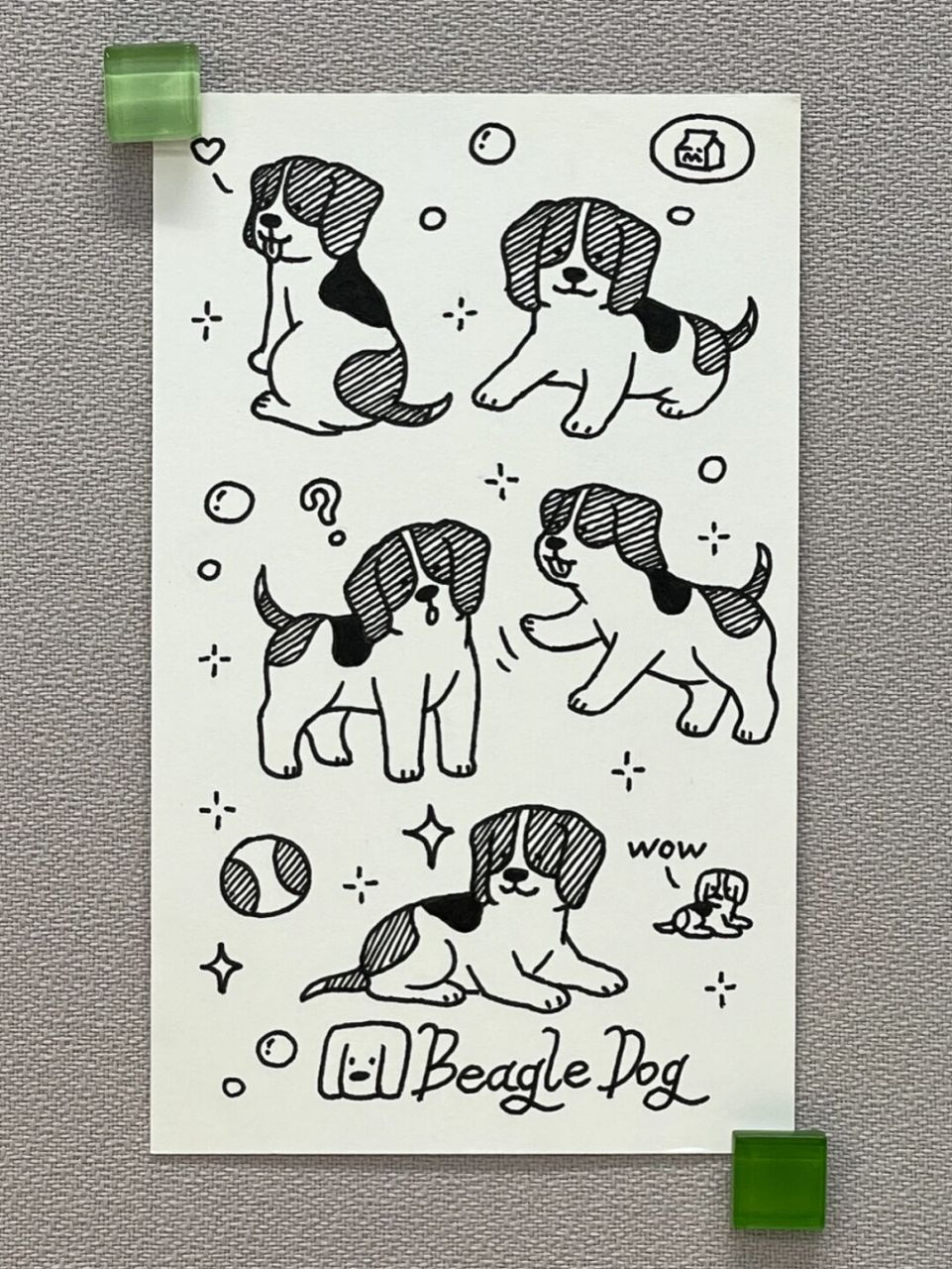 超爱比格犬!特别想养一只,但是据说拆家能力无敌!是真的吗?