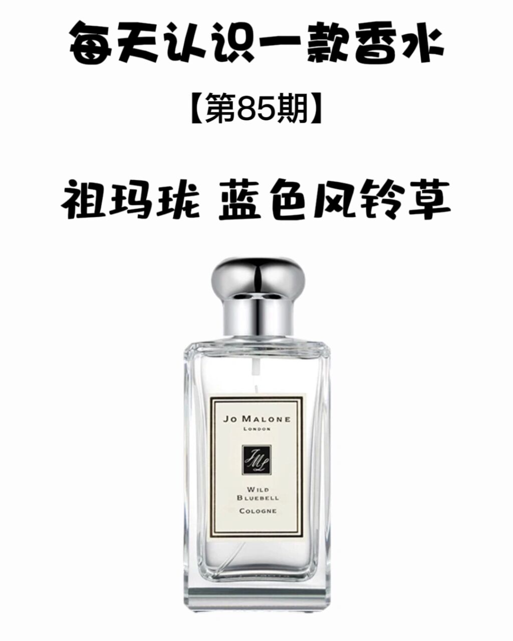 是蓝色铃兰的林地,调香师 christine nagel调制了一款新的风铃草香水