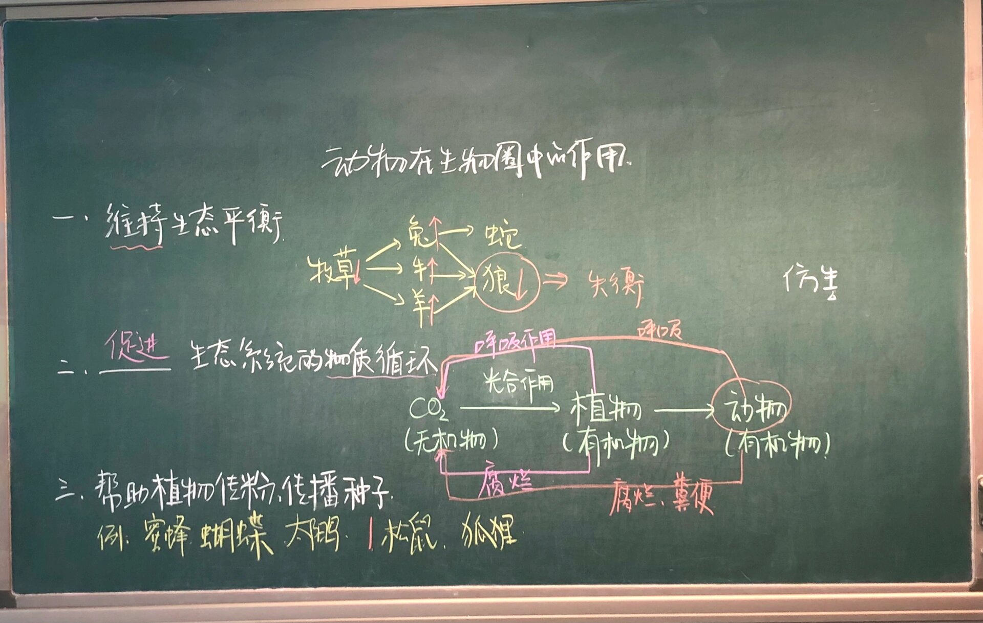 初中生物板书设计大赛图片