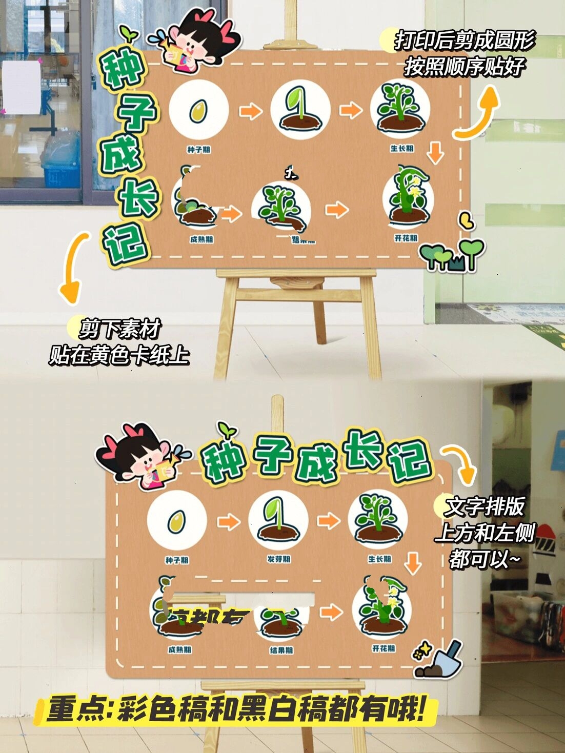☘️幼儿园植物角环创|🌱种子的秘密👀 春天来啦!