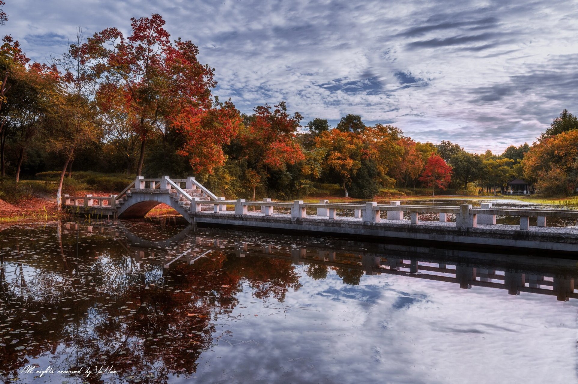 无锡去哪儿看秋天 单方面宣布长广溪湿地公园是无锡最早显现秋色的