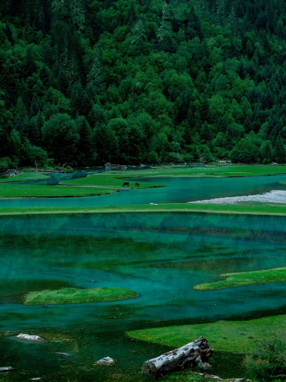 每天都很多人问我川西攻略 其实我也过很多很多川西的攻略,这个月亮湖