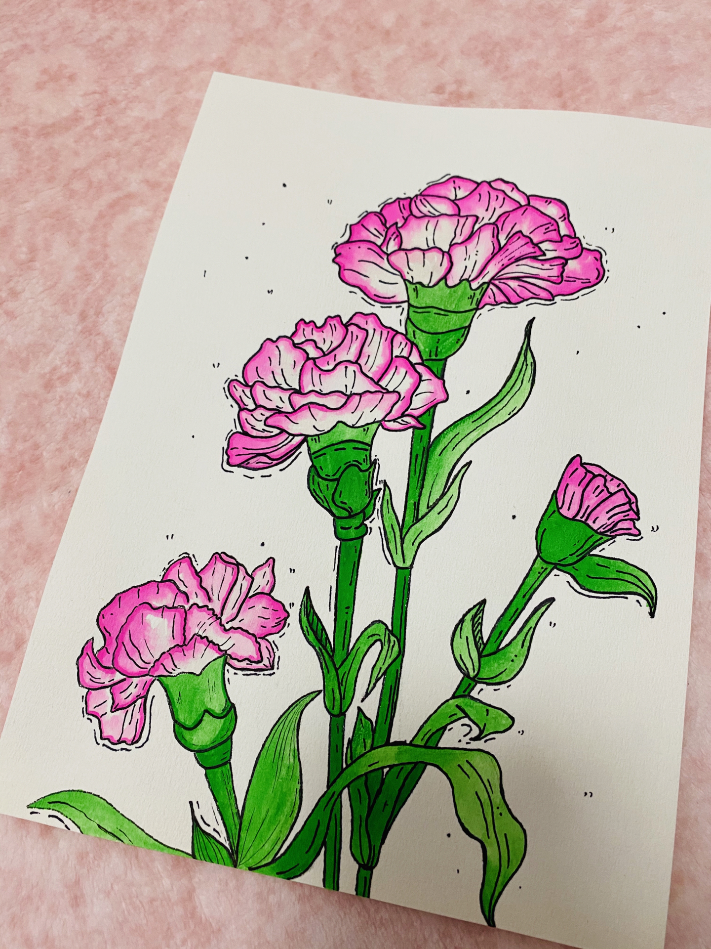 简笔画丨康乃馨丨内附绘画过程