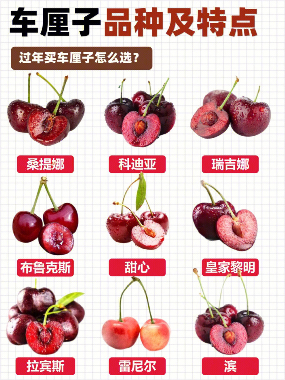 车厘子品种大全😎😎   车厘子品种大全😎😎