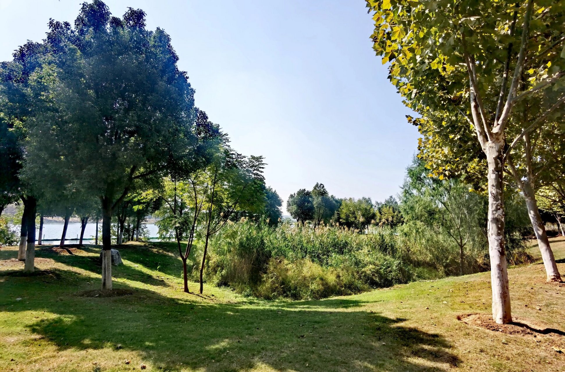 武汉市东西湖径河公园    径河流域史属古云梦泽的一片荒湖,是汉江