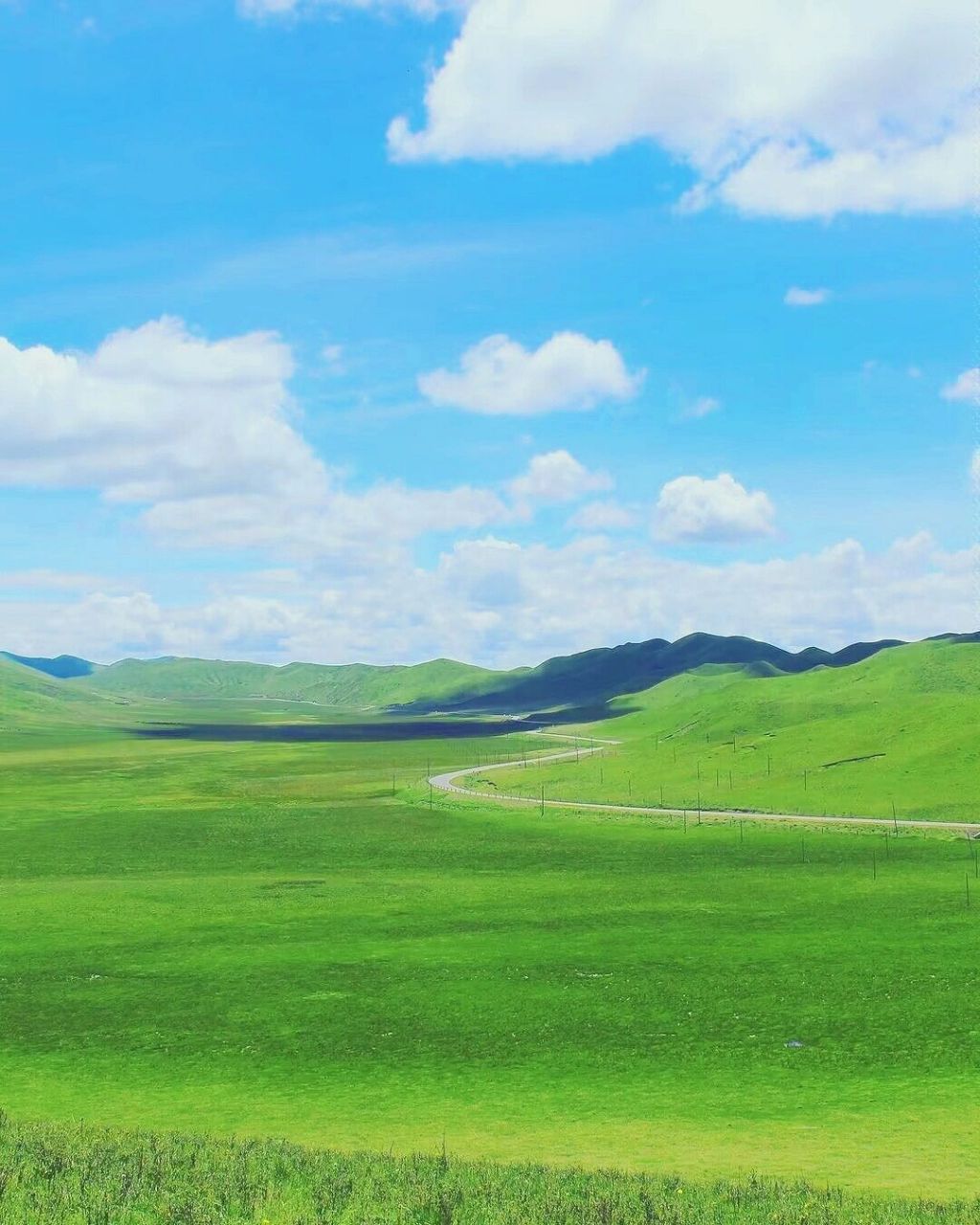 我建议你再等等 如果您想要看到绿油油的大草原 真的要选好季节来 不