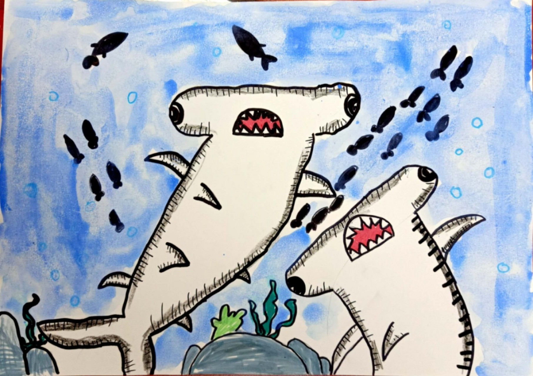 02知道锤头鲨的结构特点,并用绘画表现出来. 2.