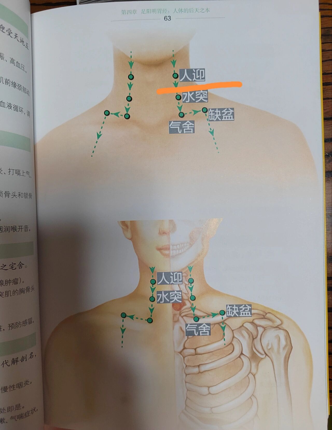 慢性咽炎自我按摩图解图片