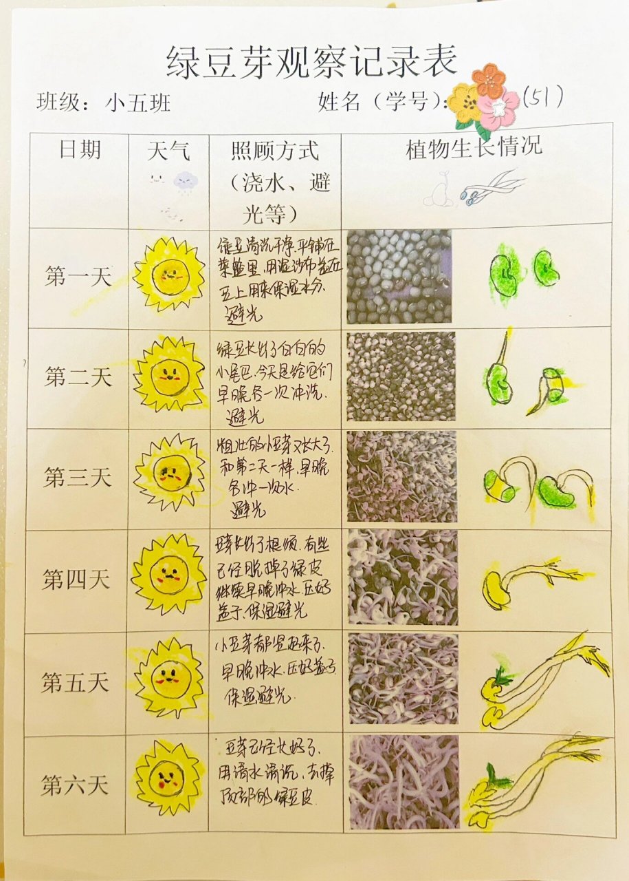 幼儿园植物种植调查表图片