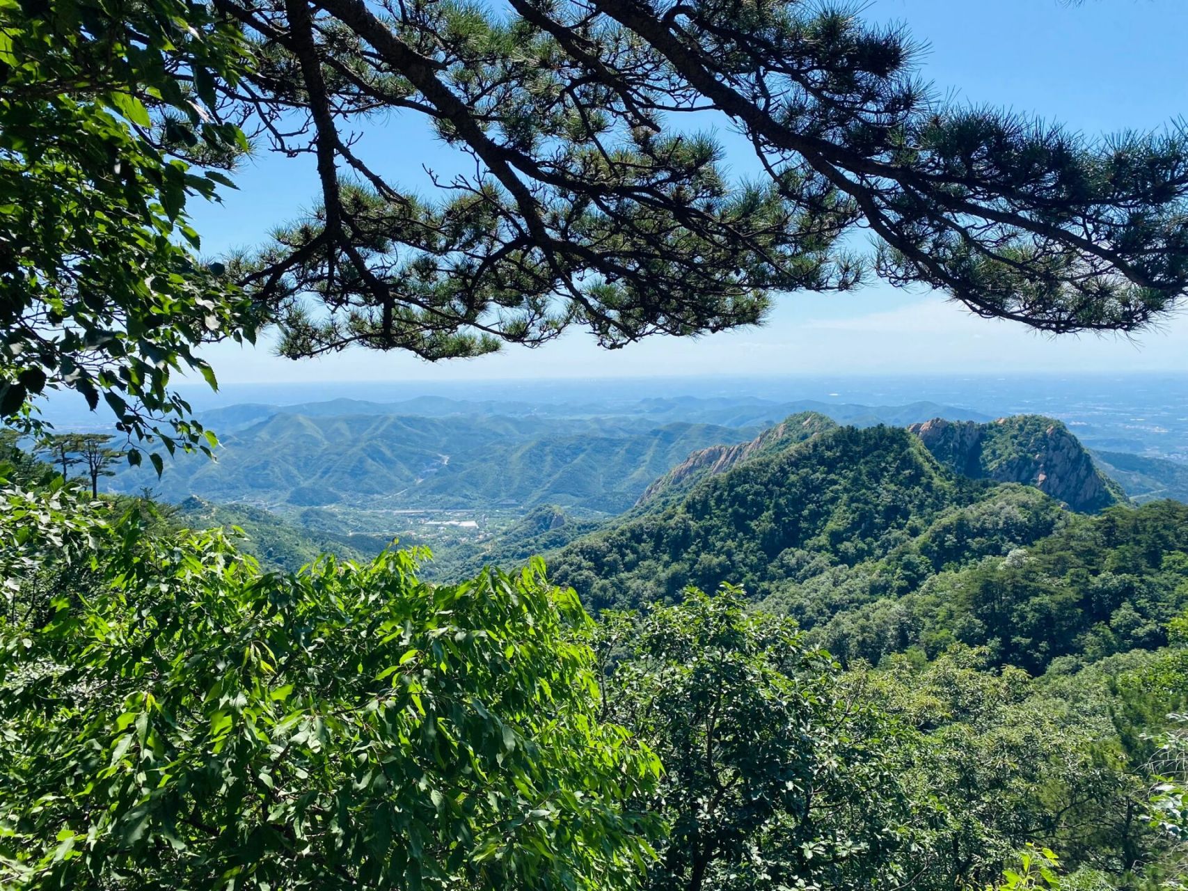 99天津蓟州区盘山风景区 门票:78元 看起来山不高,走起来路很远