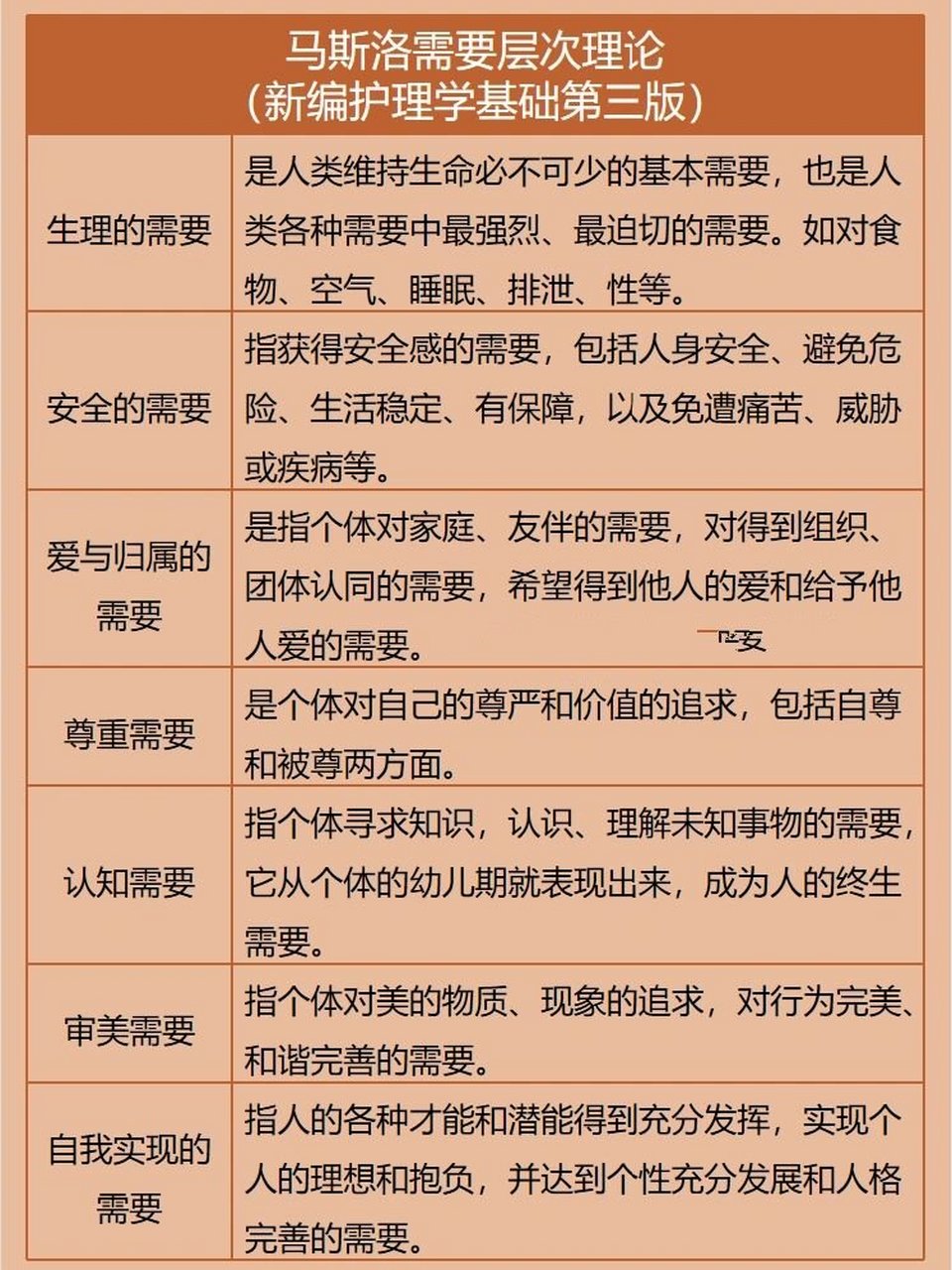 纽曼护理理论图片