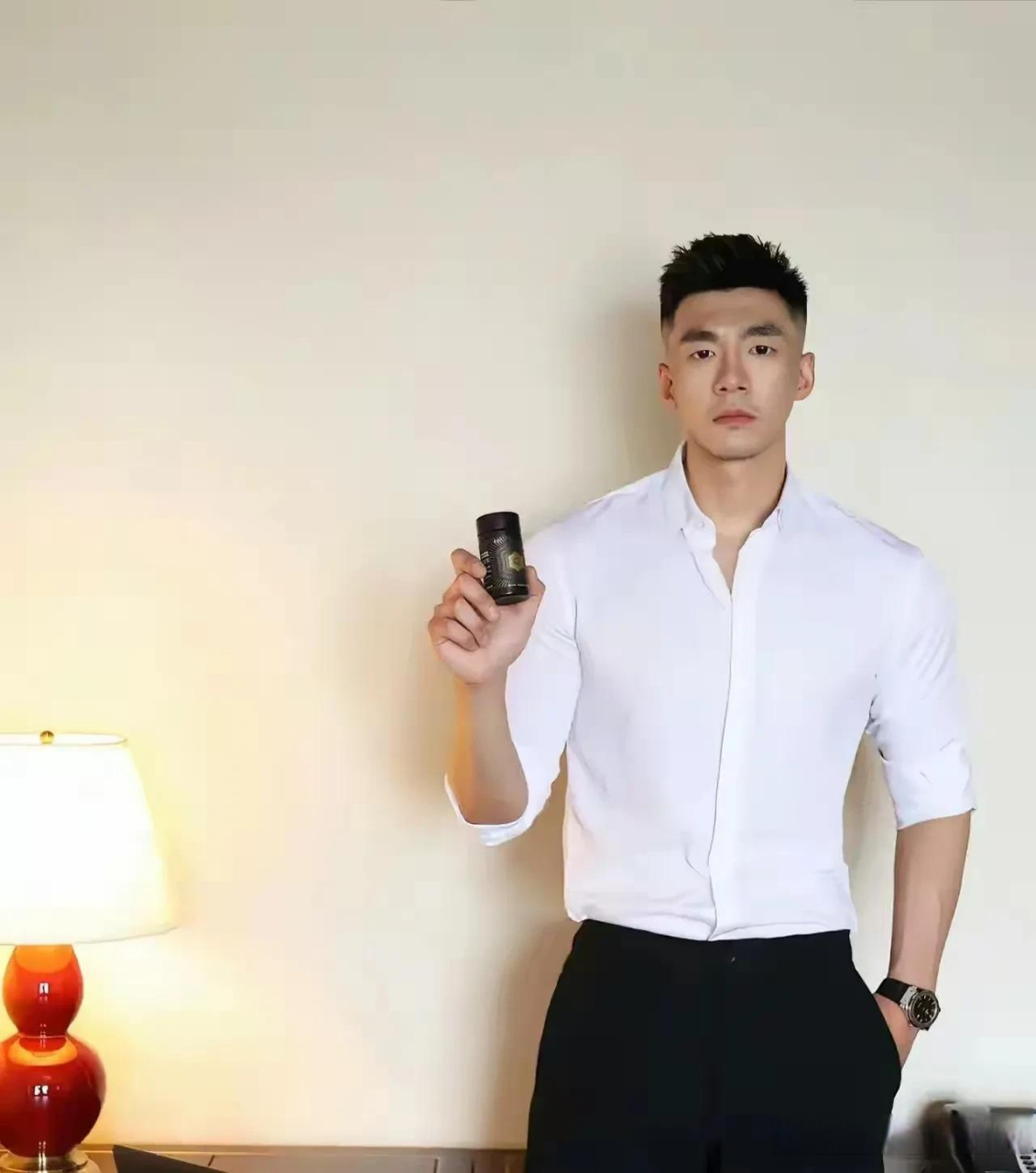 儒雅型的男人长相图片