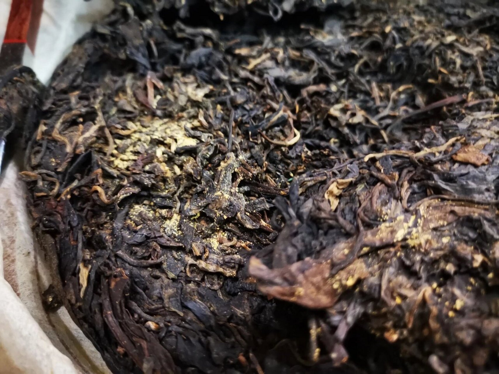 普洱茶长了金花还能喝吗?